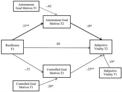 The Impact of Coronavirus Disease 2019 Lockdown on Athletes’ Subjective Vitality: The Protective Role of Resilience and Autonomous Goal Motives